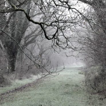 The Spiritual Life Is Lonely